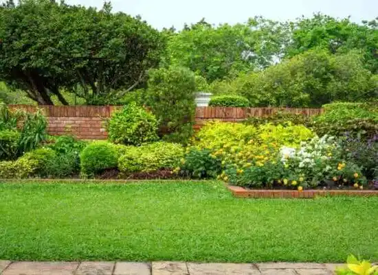 landscaping services Chevy Chase Section Five